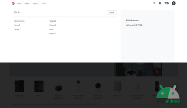 Il vecchio Google Store