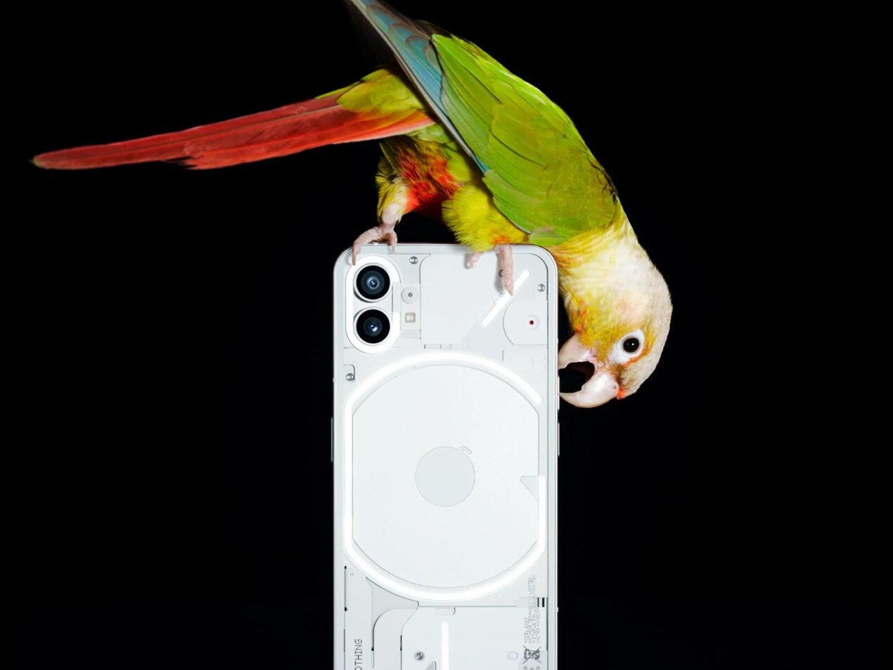 Un assaggio di Android 16 e Nothing OS 4.0 anche su Nothing Phone (1)