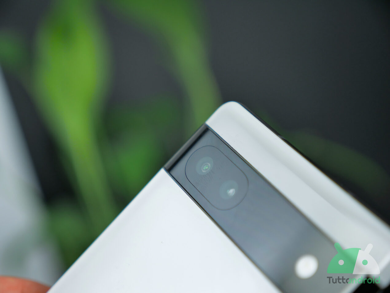 DxOMark elogia le qualità fotografiche di Google Pixel 6a