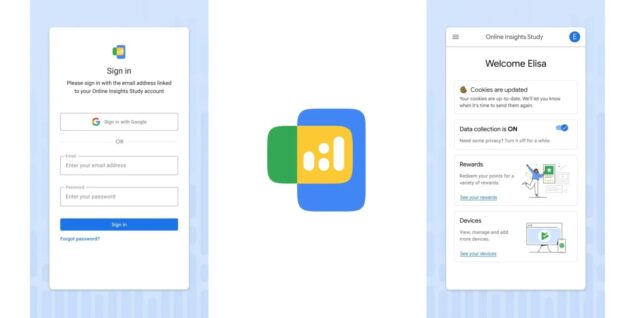 Google Online Insights Study