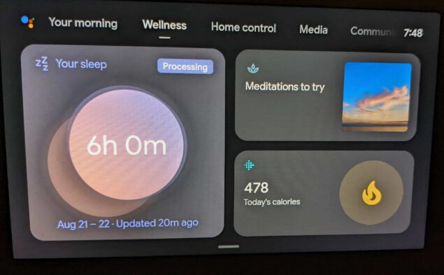 Nest Hub dati Fitbit