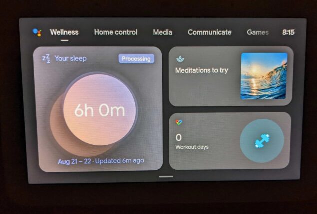 Nest Hub dati Fitbit