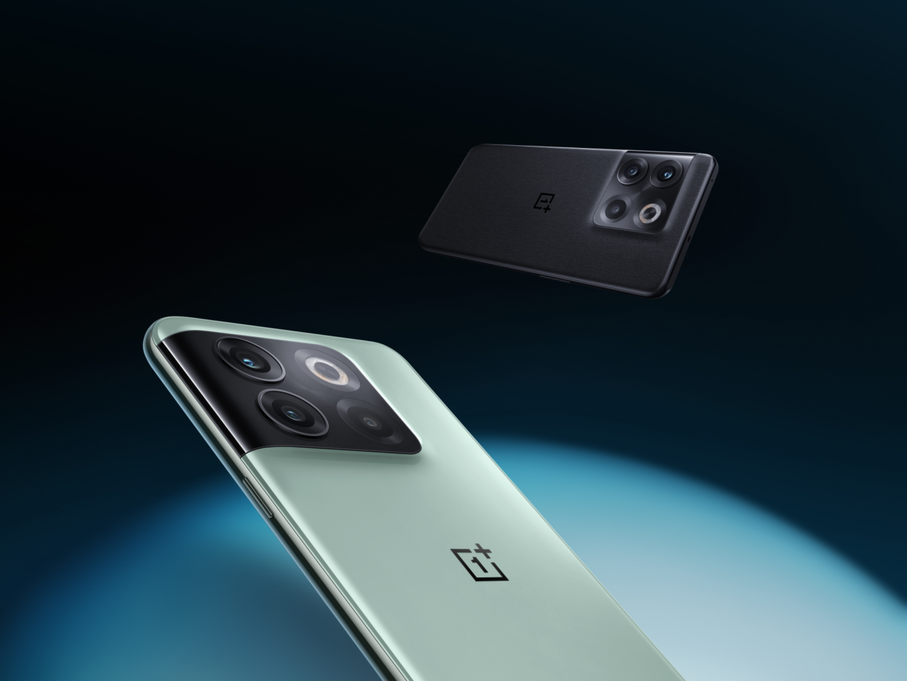 Il marketing creativo di OnePlus: all'assistenza rispondono cuccioli di Labrador
