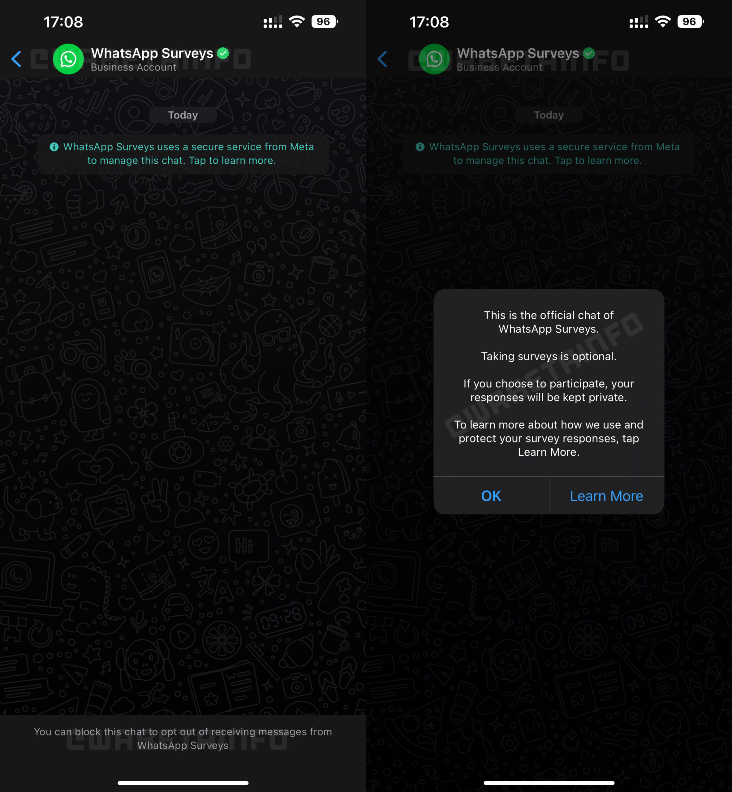 WhatsApp Surveys sondaggi chat