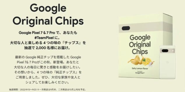 Google Original Chips