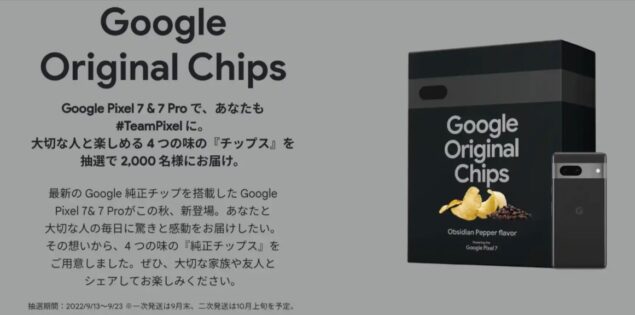 Google Original Chips