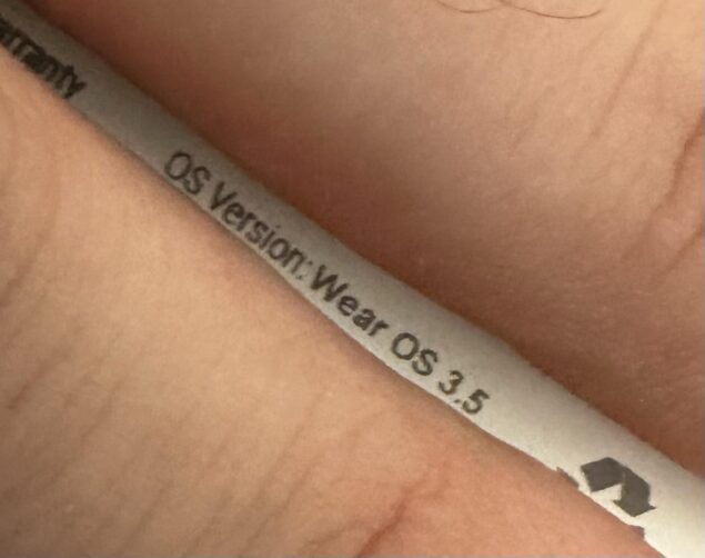 Google Pixel Watch
