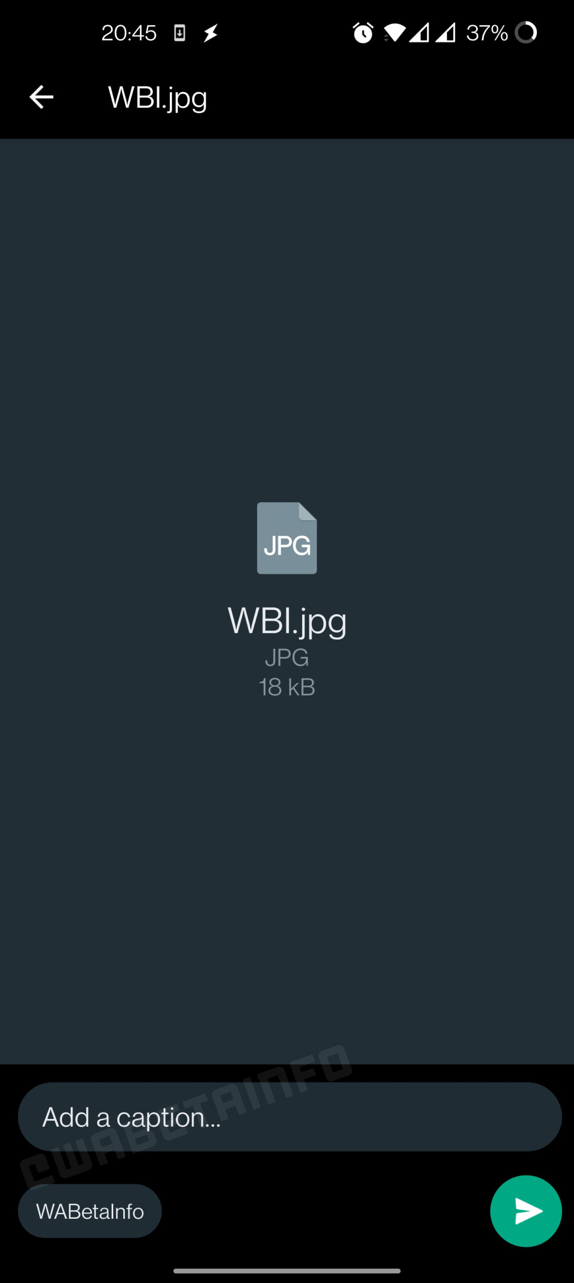 WhatsApp Beta