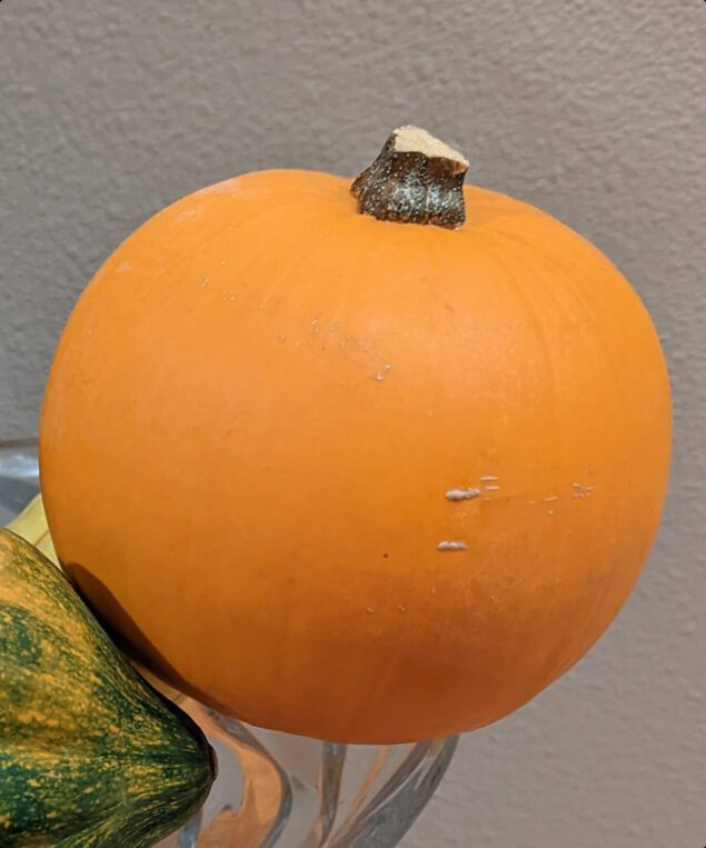 Ritaglio della foto di una zucca, catturata con un Google Pixel 7 Pro
