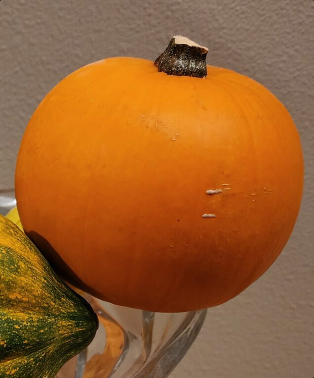 Ritaglio della foto di una zucca, catturata con un Samsung Galaxy S22 Ultra