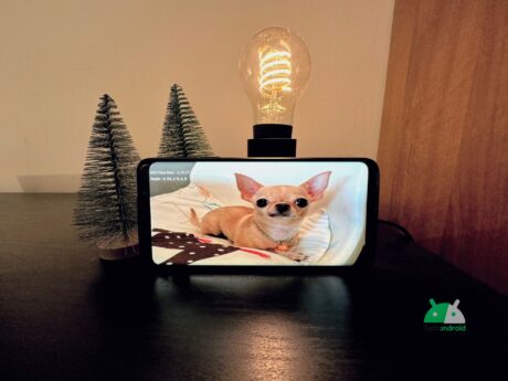 L'easter egg del Chihuahua su un Samsung Galaxy S9 Plus