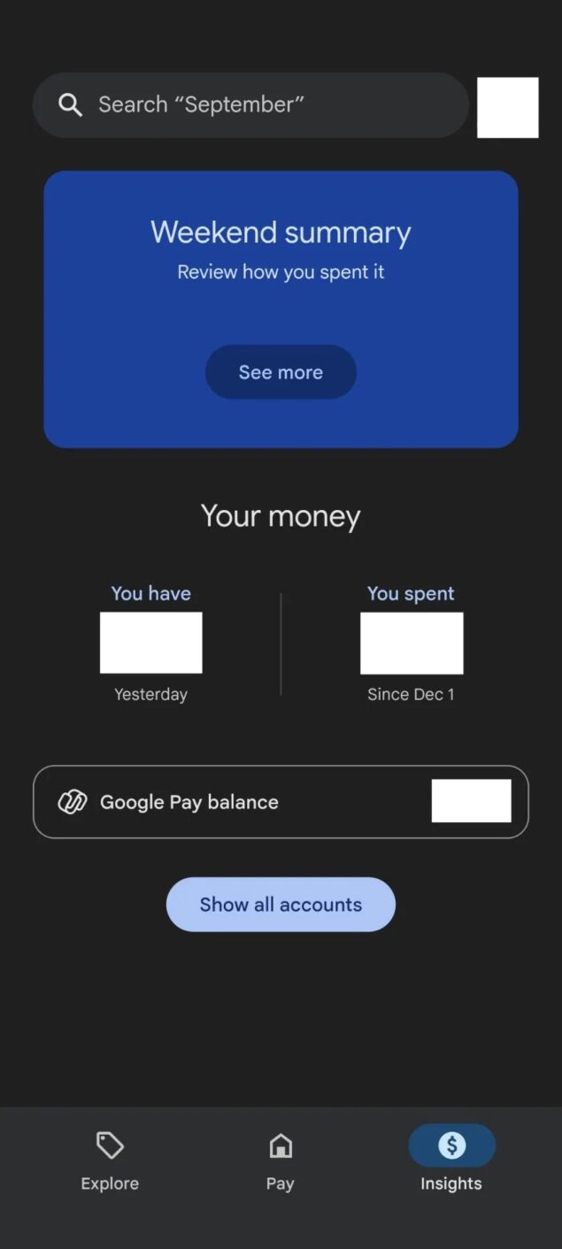 Google Pay Material You