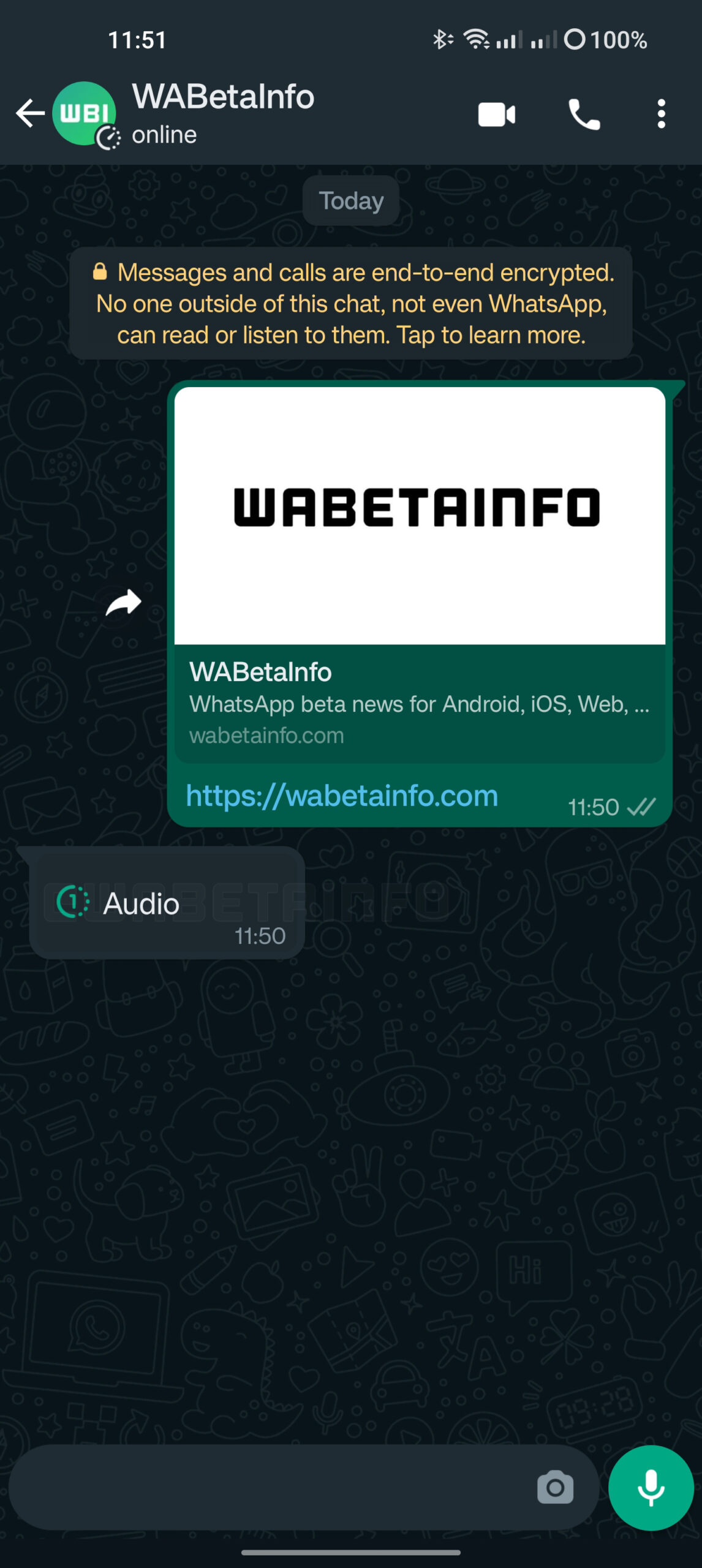 WhatsApp beta messaggi audio effimeri