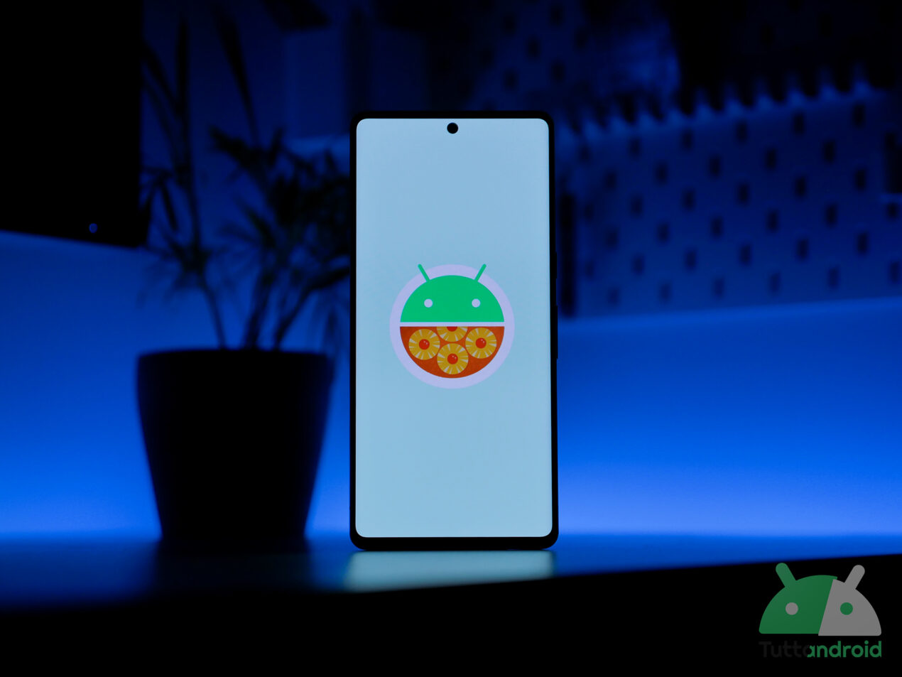 Android 14 sperimenta il controllo del contrasto per il Material You