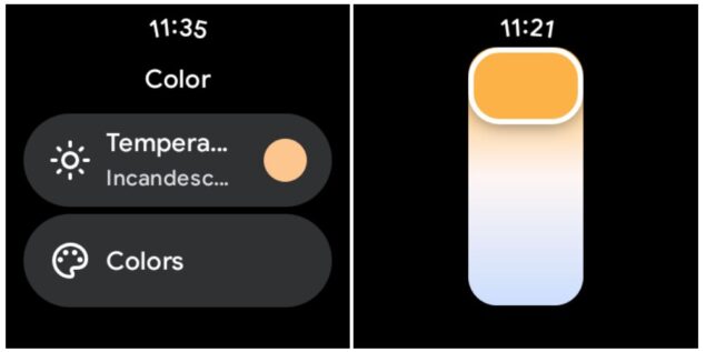 Google Home app Wear OS