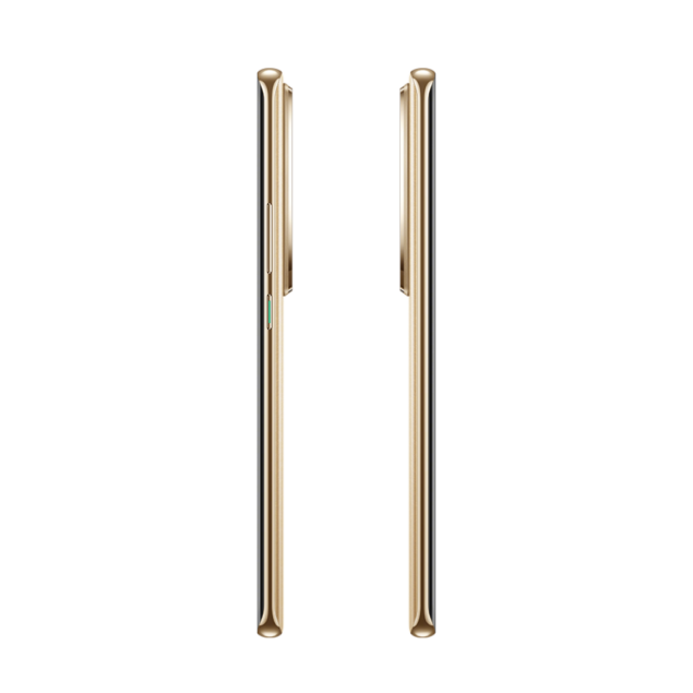 OPPO Reno10 Brilliant Gold