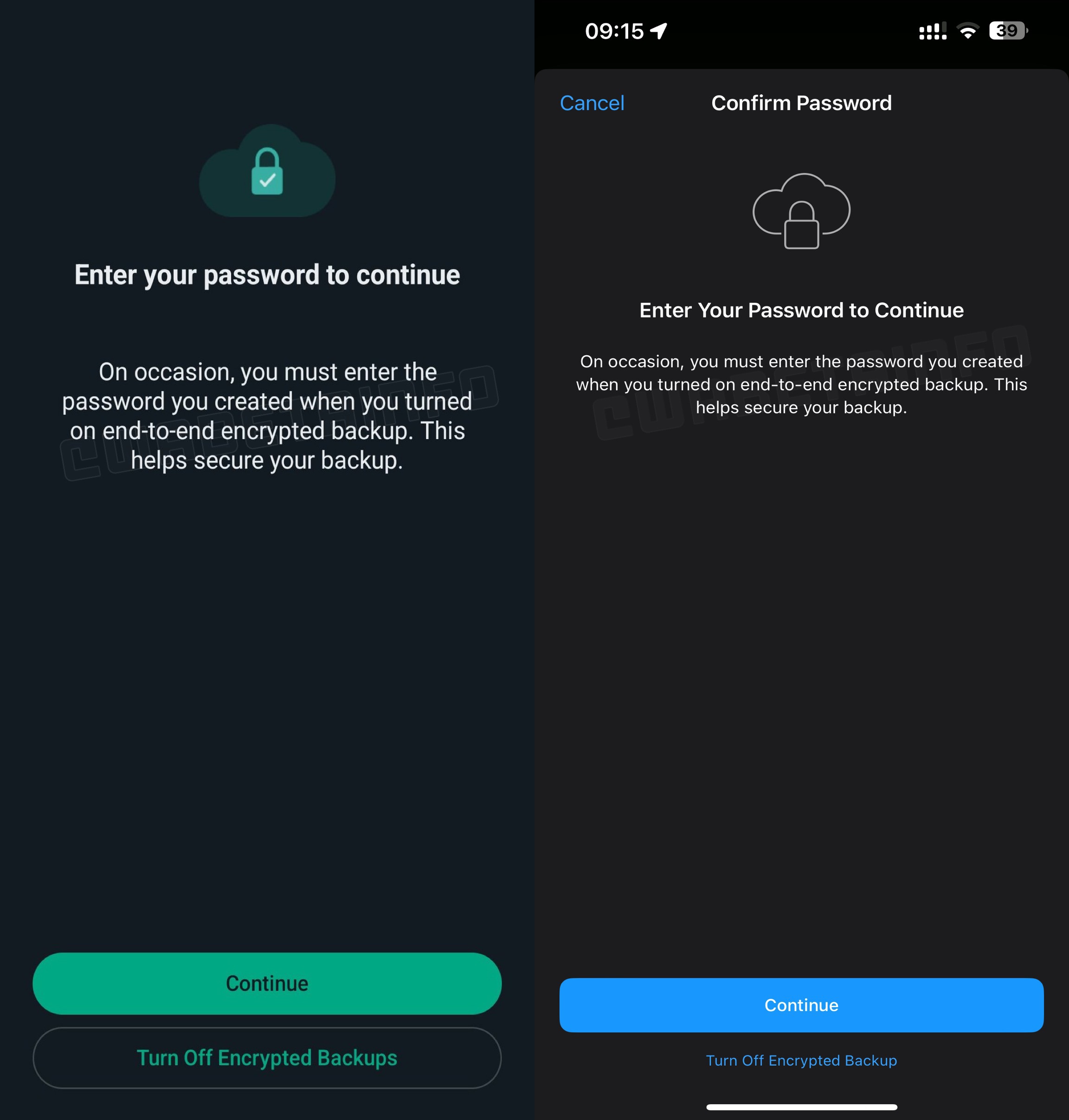 WhatsApp promemoria password backup
