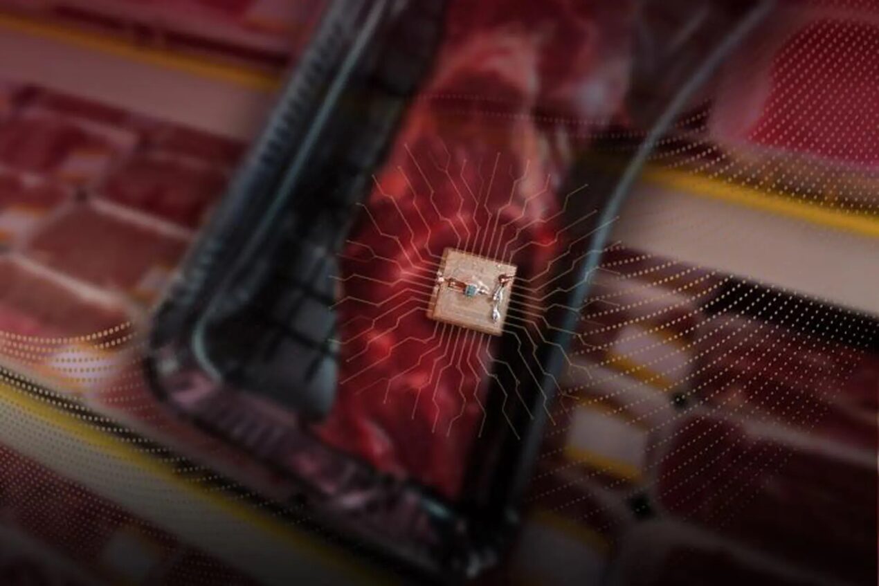 Un rivoluzionario sensore per smartphone potrebbe ridurre gli sprechi alimentari