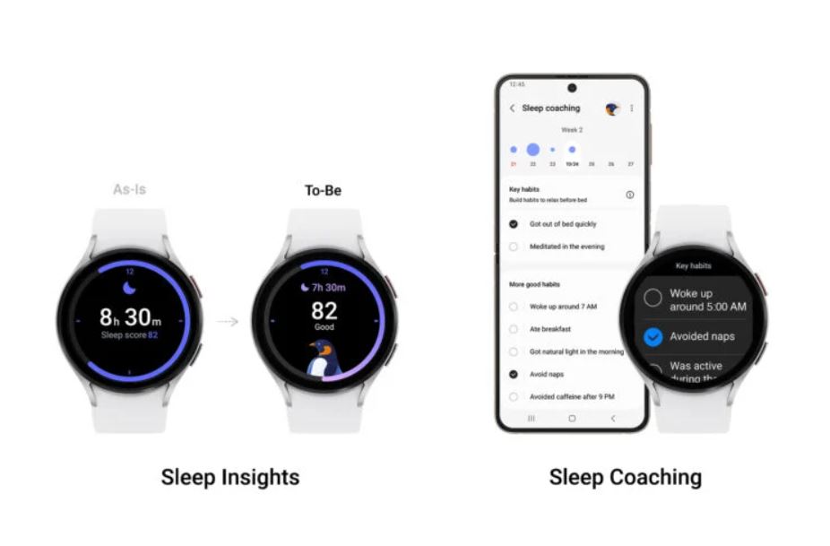 One UI 5 Watch