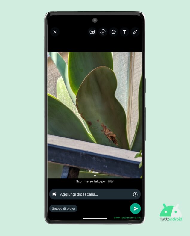 WhatsApp per Android - invio foto in HD