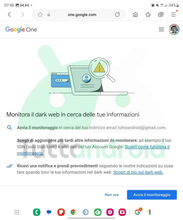 Dark Web Report