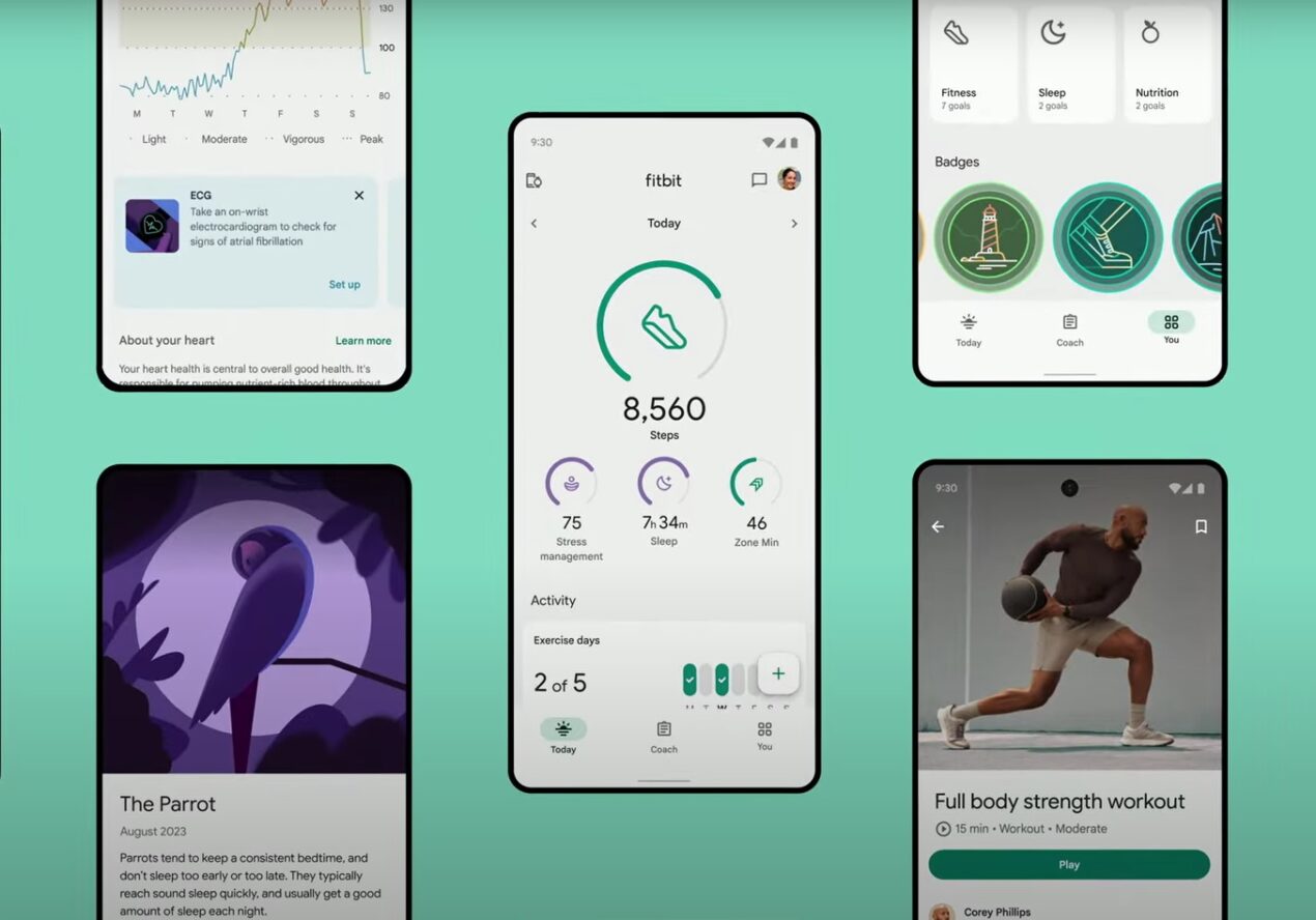 Google annuncia la nuova app Fitbit, ecco come sfruttarla al meglio