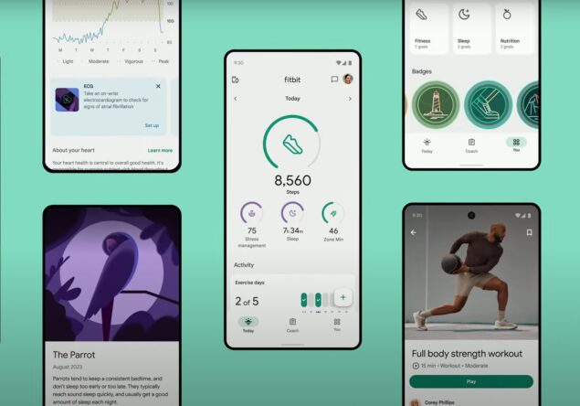 app fitbit rinnovata