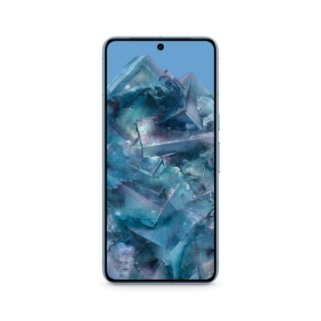 Google Pixel 8 Pro - Bay