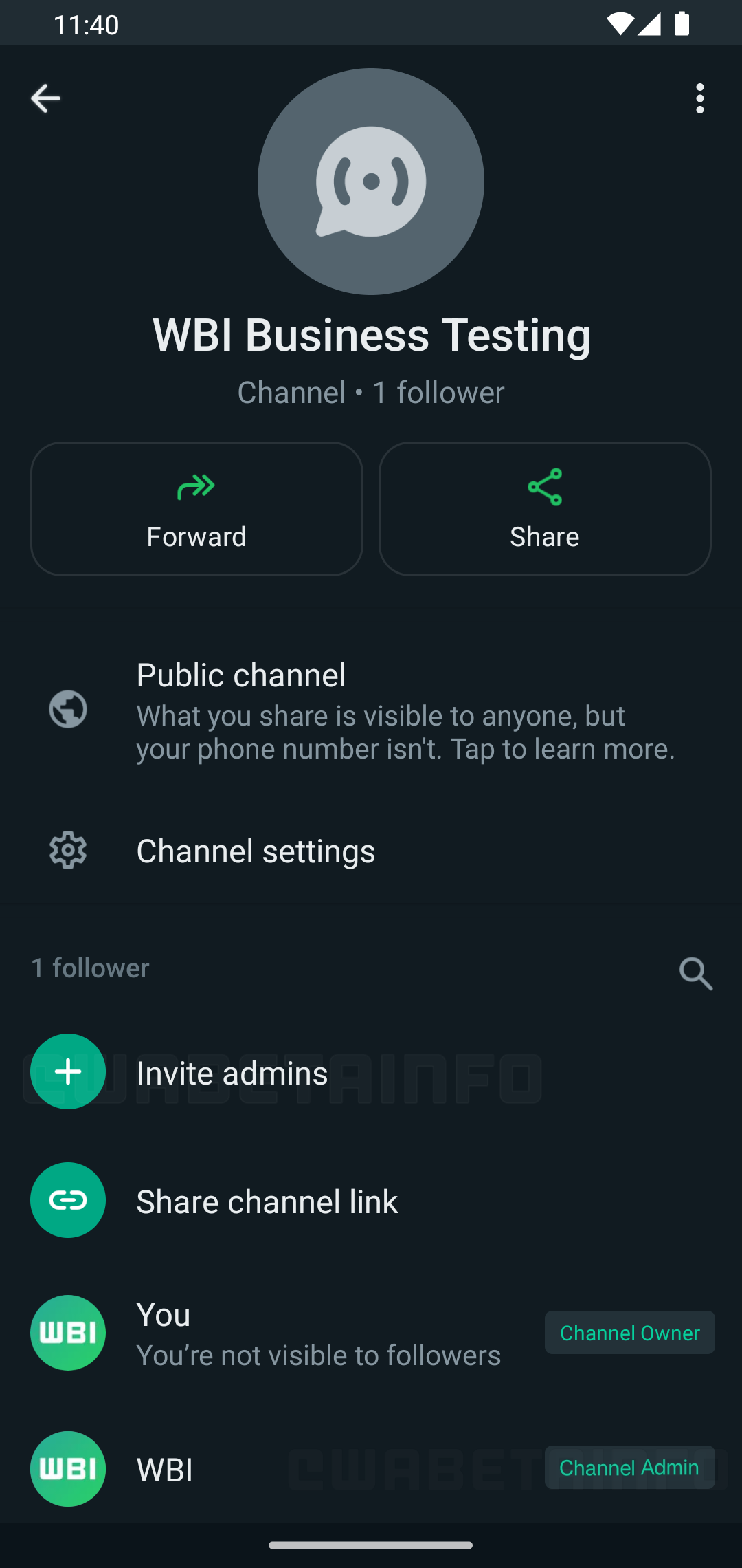 WhatsApp Beta