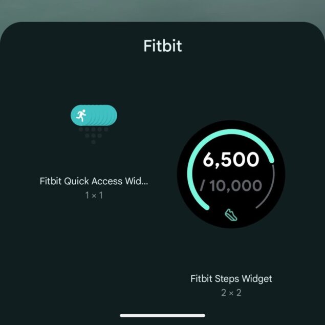nuovo widget app Fitbit 4.01