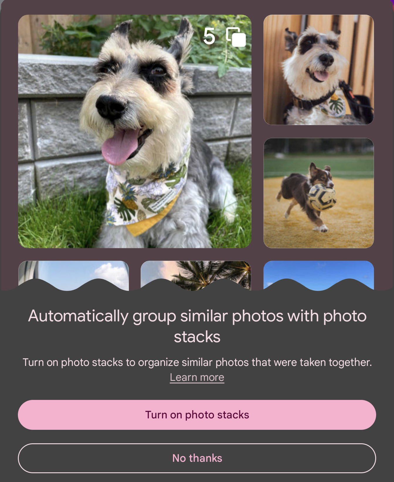 Google Foto - Photo Stack