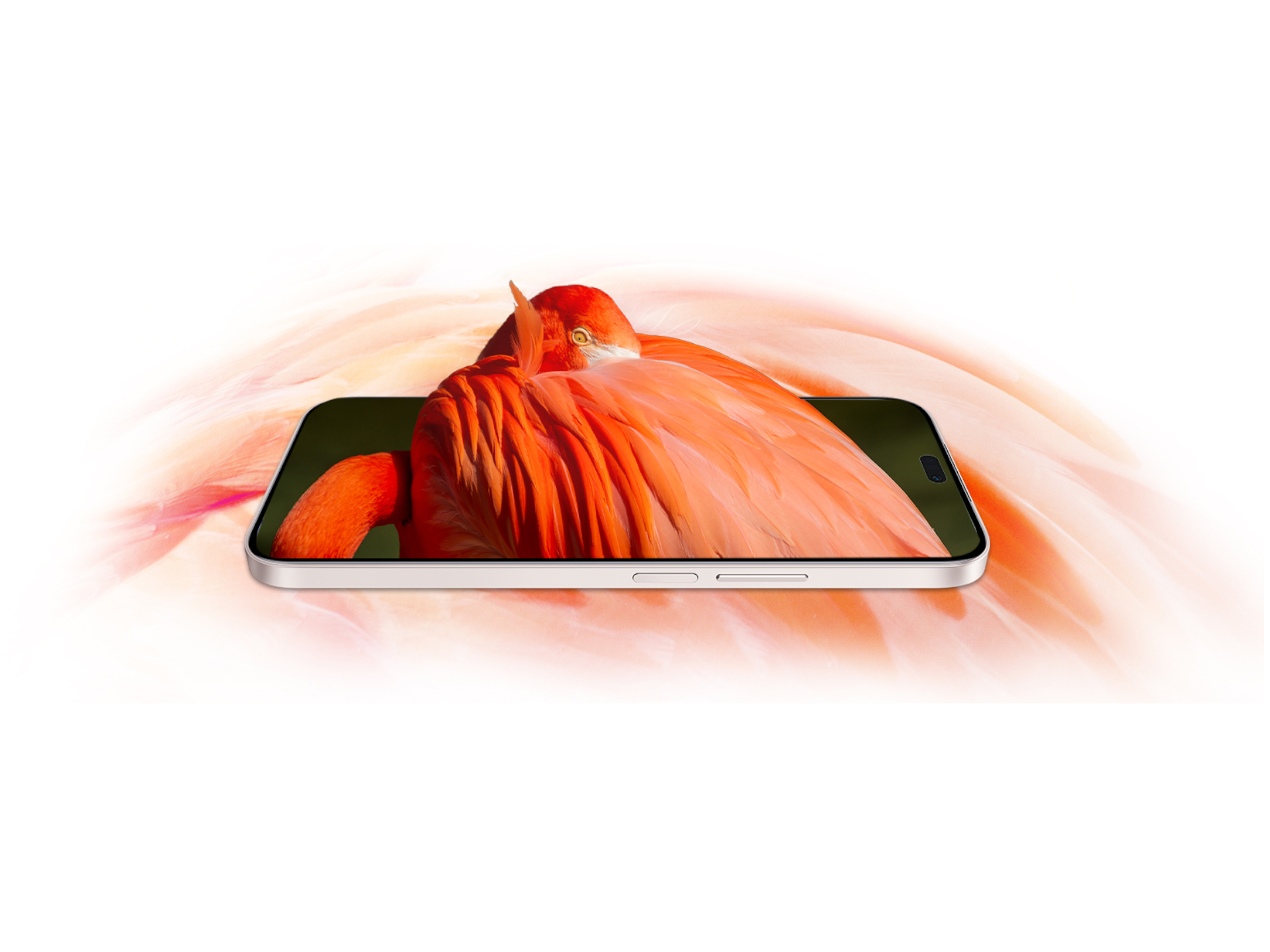 HONOR X50i plus c
