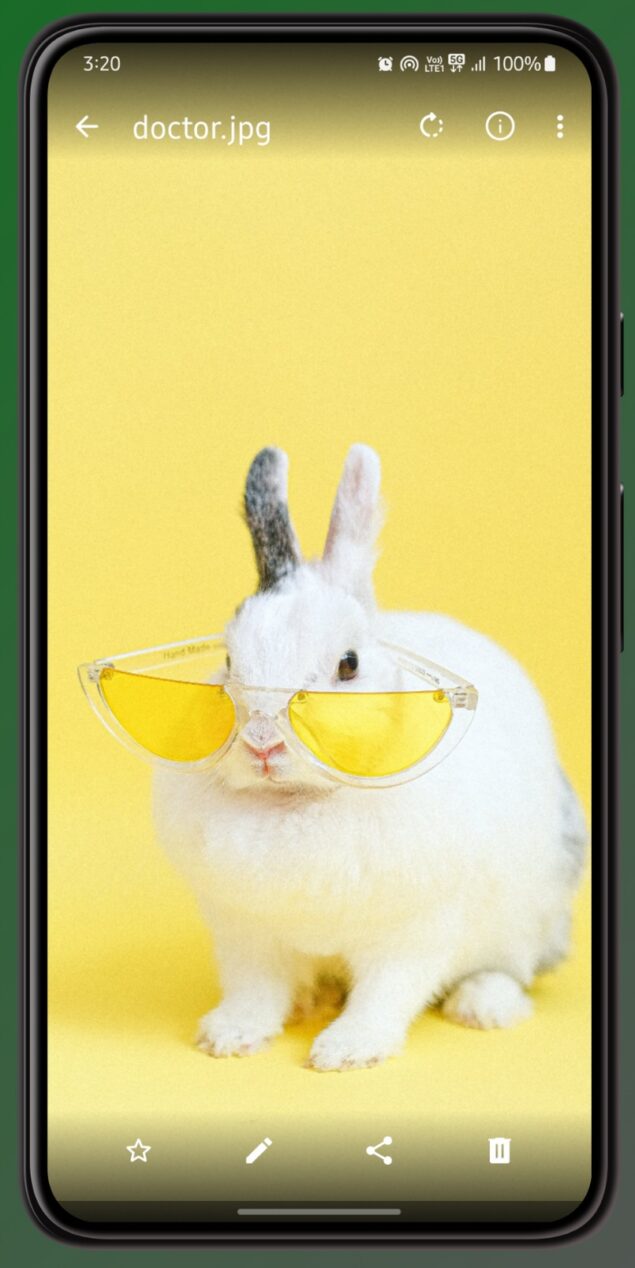 Fossify Gallery 2