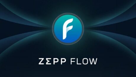 Zepp Flow