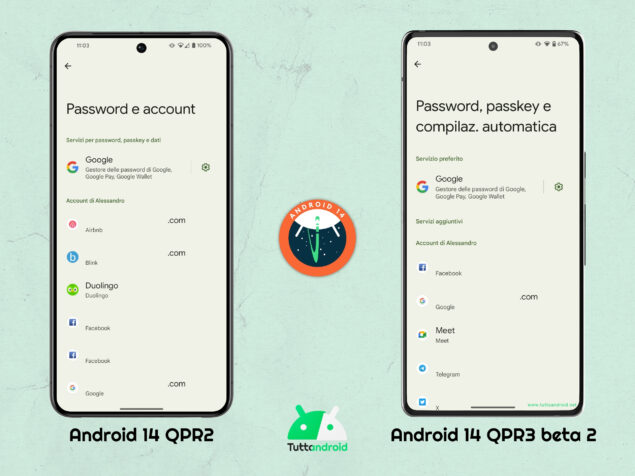 Android 14 QPR3 beta 2 - Password e account 02