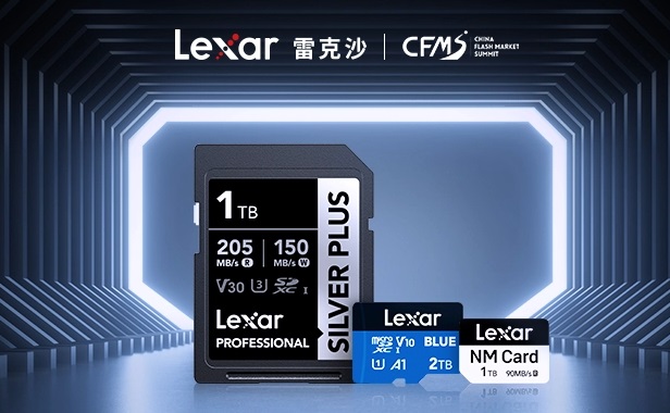 Lexar schede archiviazione b