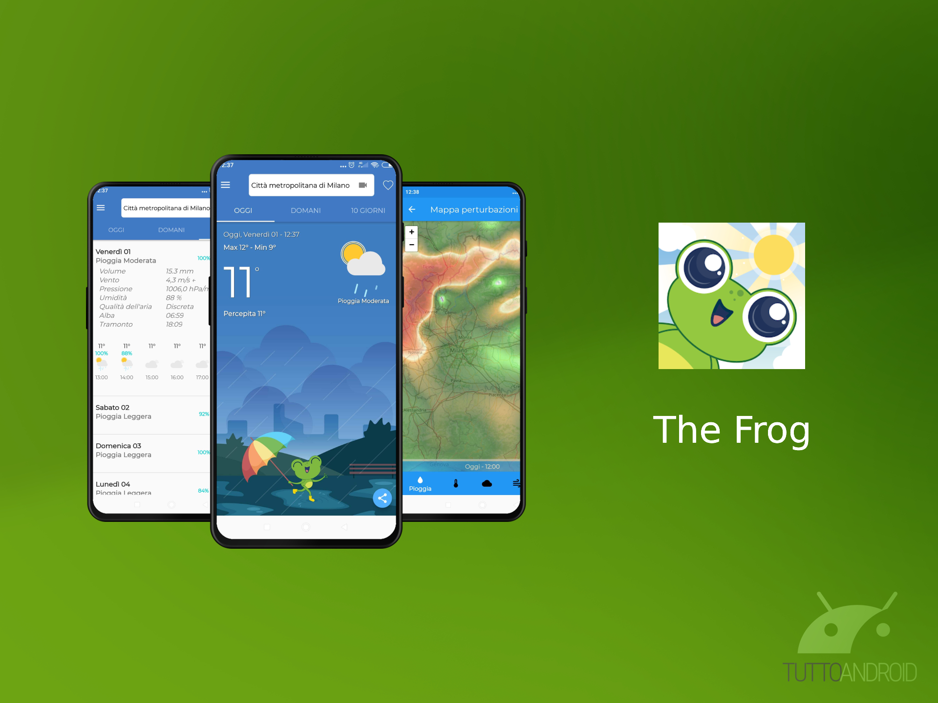 The Frog