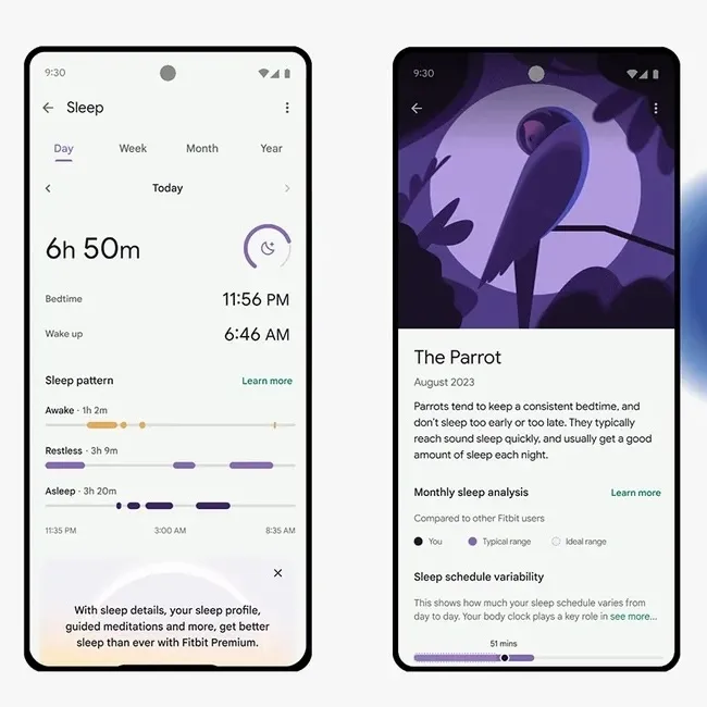 fitbit pagina sonno