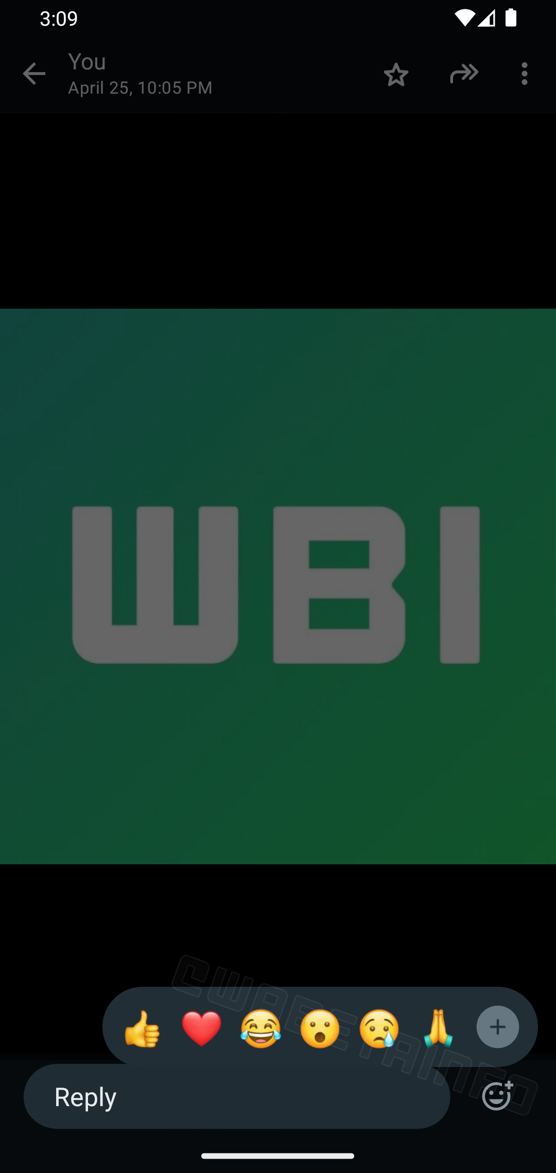 whatsapp beta scorciatoia reazioni file multimediali