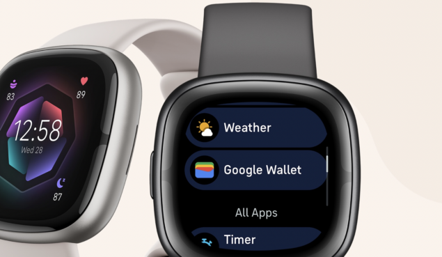 Fitbit e Google Wallet