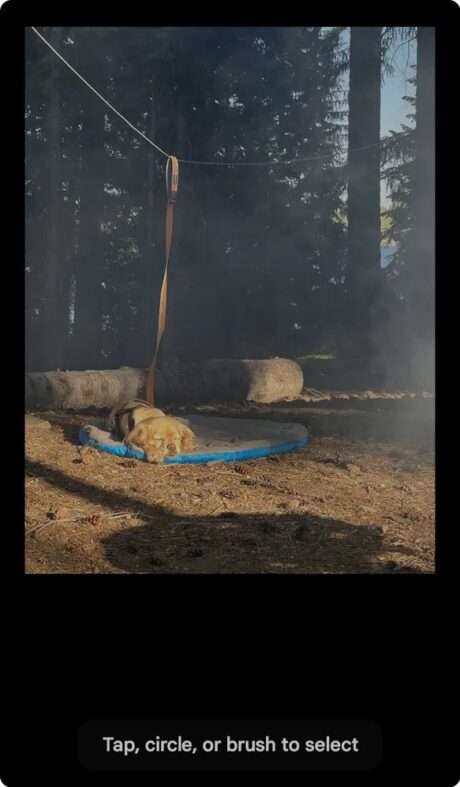 AI Google Foto 1