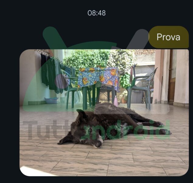 Google Messaggi no didascalia