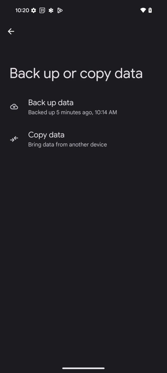 Backup Google Pixel 9-2