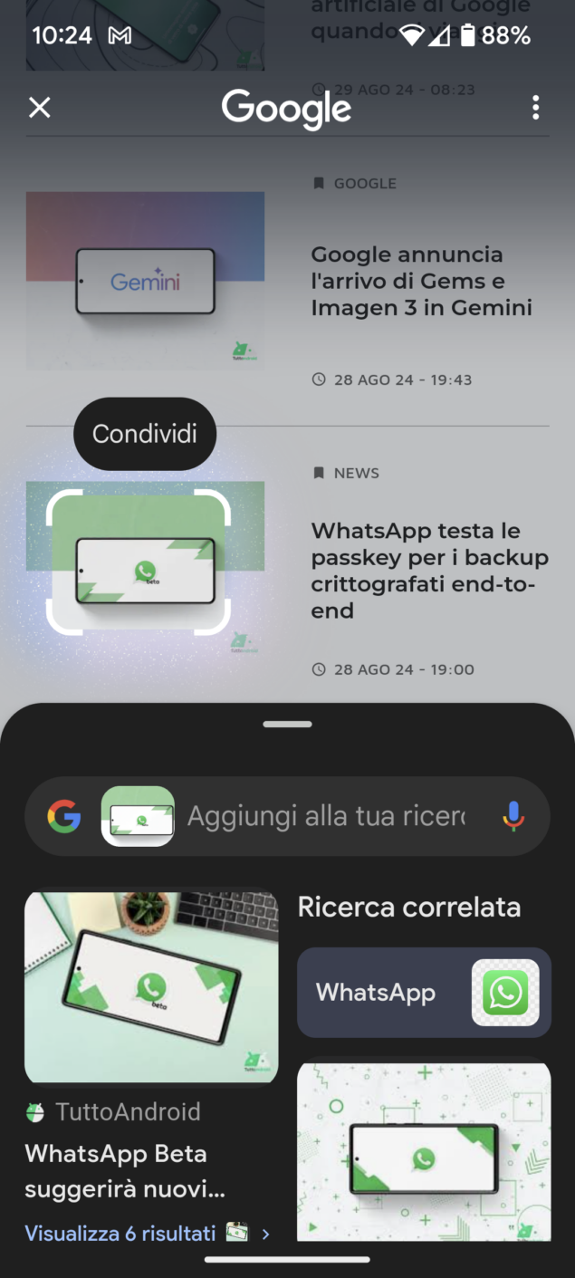 Google Cerchia e cerca