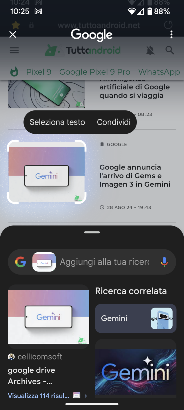 Google Cerchia e cerca
