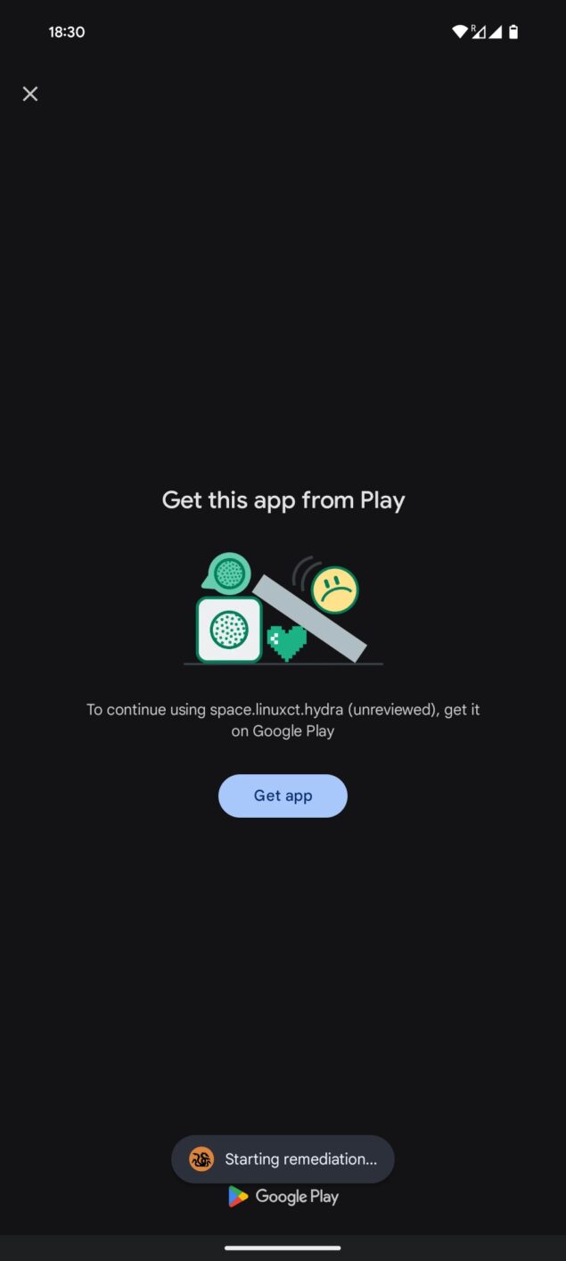 API Integrity Google Play-1