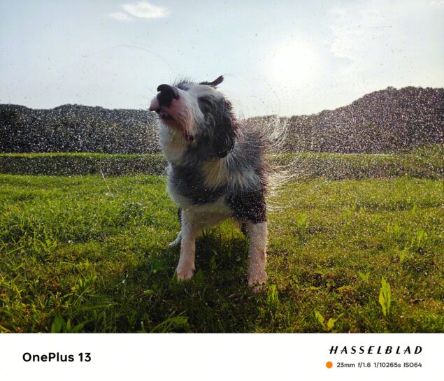 sample fotografici OnePlus 13