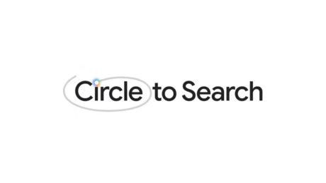 Google Cerchia e cerca