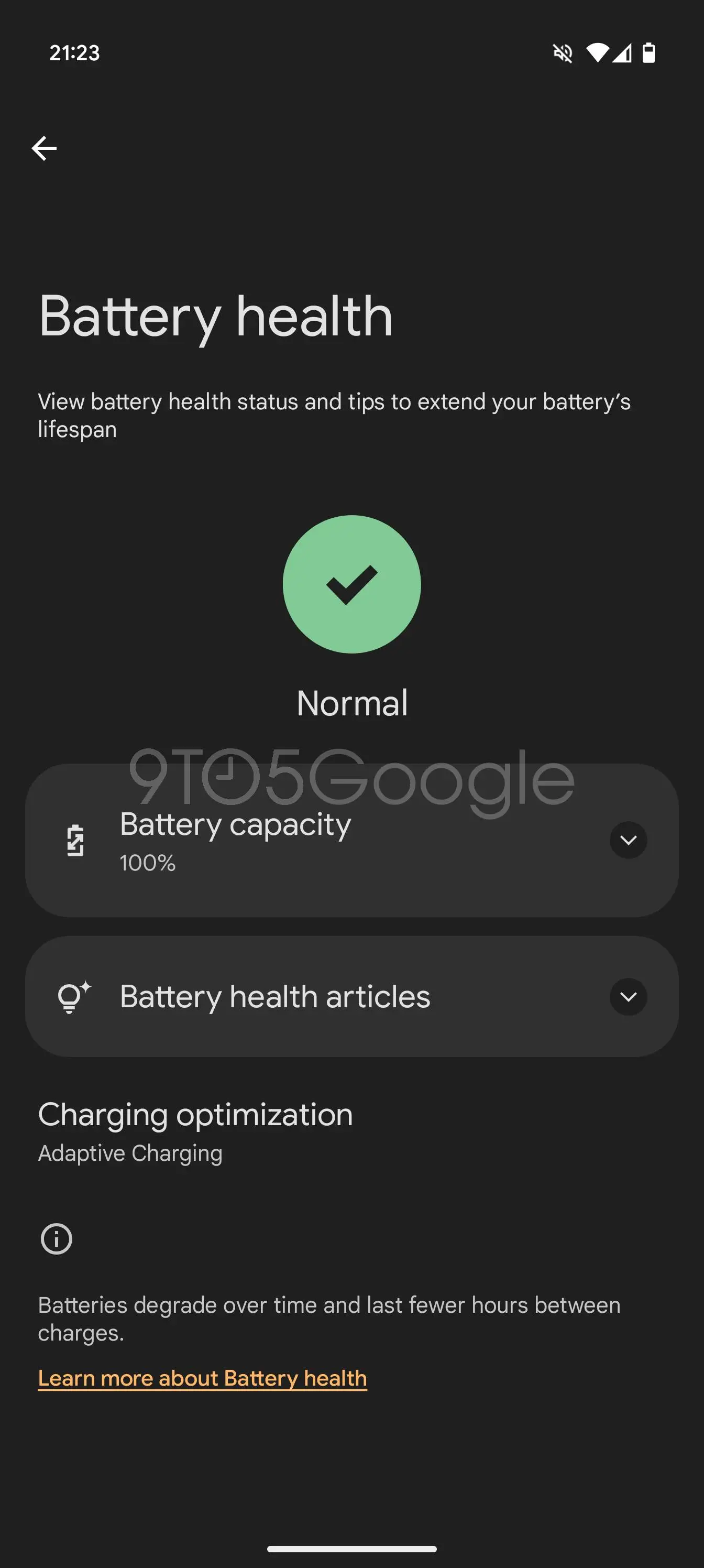 Google salute batteria-6