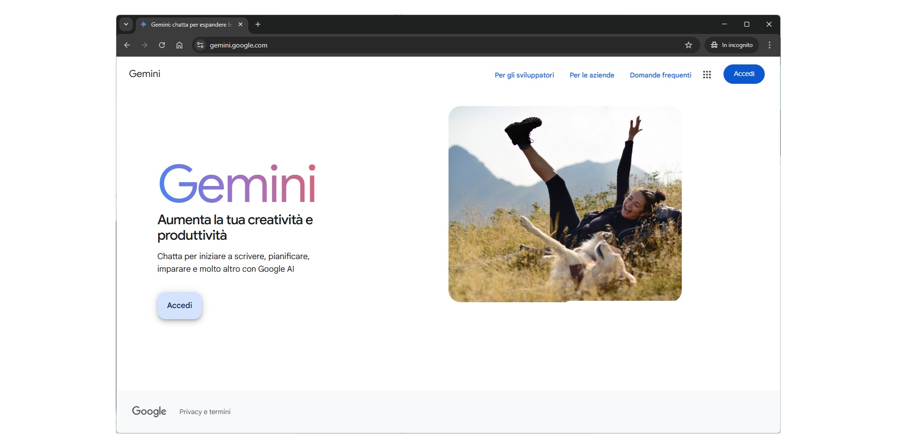 Gemini Web App